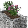 vidaXL &Alpha;&nu;&alpha;&sigma;&eta;&kappa;&omega;&mu;έ&nu;&omicron; &kappa;&rho;&epsilon;&beta;ά&tau;&iota; gabion &Alpha;&sigma;&eta;&mu;ί 50 x 100 x 100 &epsilon;&kappa;