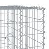 vidaXL Συρματοκιβώτιο με Κάλυμμα 750x100x200εκ από Γαλβανισμένο Χάλυβα