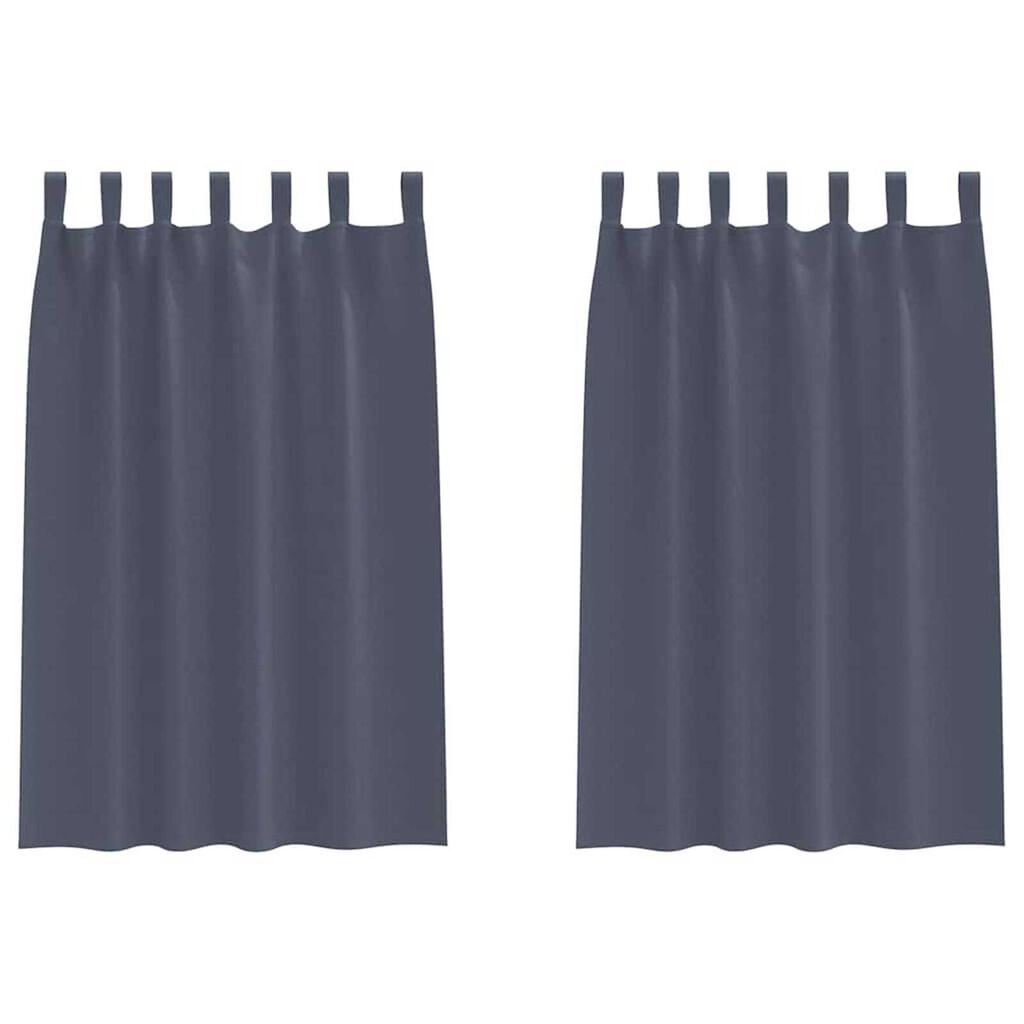 vidaXL Κουρτίνες με κουρτίνες 2 pcs Ανθρακί Πολυεστέρας