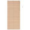 vidaXL &Beta;&epsilon;&nu;&epsilon;&tau;&sigma;&iota;ά&nu;&iota;&kappa;&eta; &Sigma;&kappa;ί&alpha;&sigma;&eta; Ό&psi;&eta; &Delta;&rho;ύ&sigmaf; 105 x 250 cm 35 mm
