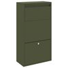 Olive_green