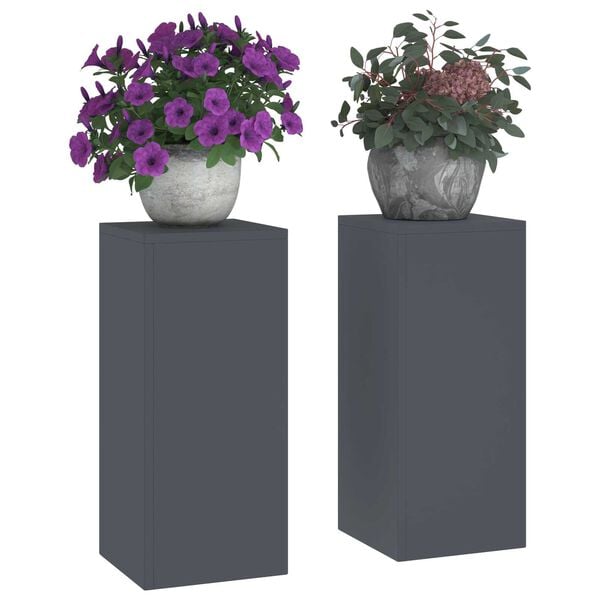 vidaXL Στήριξη φυτών 2 pcs Ανθρακί 24 x 24 x 55 εκ. Ατσάλι