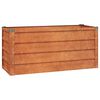 vidaXL &Zeta;&alpha;&rho;&nu;&tau;&iota;&nu;&iota;έ&rho;&alpha; &Sigma;&kappa;&omicron;&upsilon;&rho;&iota;&alpha;&sigma;&mu;έ&nu;&omicron; 100x40x45 &epsilon;&kappa;. &Alpha;&tau;&sigma;ά&lambda;&iota; &Sigma;&kappa;&lambda;&eta;&rho;&upsilon;&theta;έ&nu; &Alpha;έ&rho;&alpha;