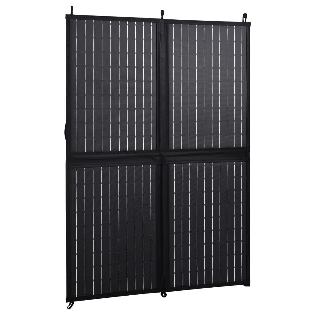 vidaXL Ηλιακός Φορτιστής με Πάνελ Πτυσσόμενος 100 W 12 V