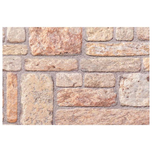 vidaXL &Pi;ά&nu;&epsilon;&lambda; &tau;&omicron;ί&chi;&omicron;&upsilon; 10 pcs &Alpha;&nu;&omicron;&iota;&chi;&tau;ό &kappa;&alpha;&phi;έ &kappa;&alpha;&iota; &Lambda;&epsilon;&upsilon;&kappa;ό 100 x 50 cm