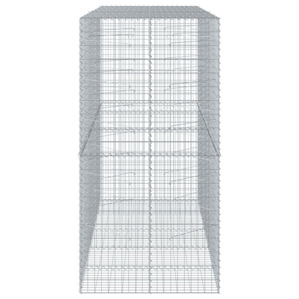 vidaXL Συρματοκιβώτιο με Κάλυμμα 250x100x200εκ από Γαλβανισμένο Χάλυβα