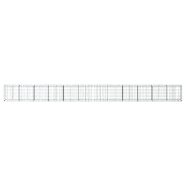 vidaXL Συρματοκιβώτιο με Κάλυμμα 1200x50x100εκ από Γαλβανισμένο Χάλυβα