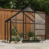 vidaXL Θερμοκήπιο Γυάλινο Ανθρακί 155 x 103 x 191 εκ. από Αλουμίνιο