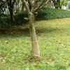 Thumbnail &Pi;&rho;&omicron;ϊό&nu;&tau;&omicron;&sigmaf; 2 &alpha;&pi;ό 7