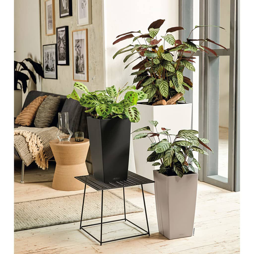 LECHUZA Γλάστρα Cubico Color 40 ALL-IN-ONE Σκούρο Γκρι 13158