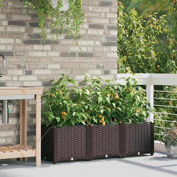 &Pi;&rho;&omicron;&beta;&omicron;&lambda;ή &Phi;&omega;&tau;&omicron;&gamma;&rho;&alpha;&phi;ί&alpha;&sigmaf; &Pi;&rho;&omicron;ϊό&nu;&tau;&omicron;&sigmaf; 3 &alpha;&pi;ό 10