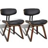 Black_and_dark_brown