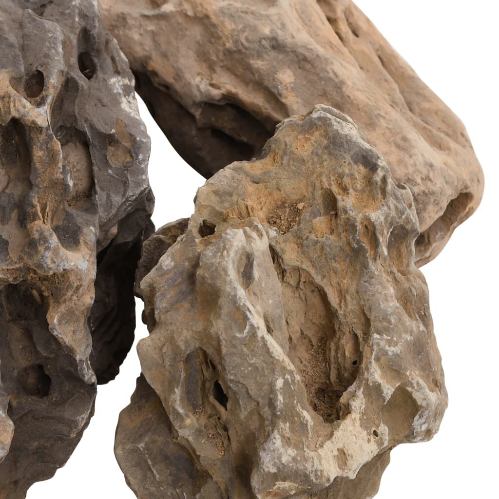 vidaXL Πέτρες Dragon Stones Γκρι 10 κιλά 10-40 εκ.