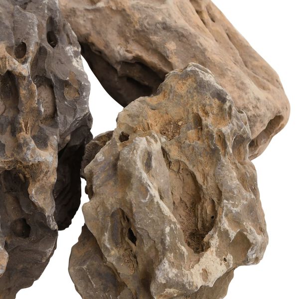 vidaXL Πέτρες Dragon Stones Γκρι 10 κιλά 10-40 εκ.