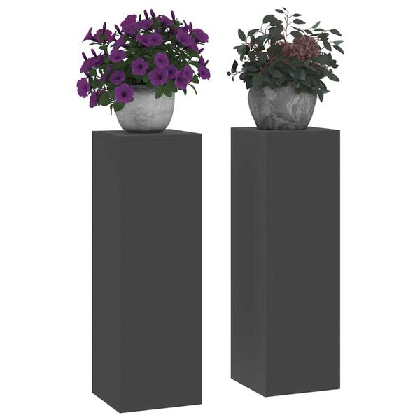vidaXL Στήριξη φυτών 2 pcs Μαύρο 24 x 24 x 75 εκ. Ατσάλι