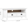 vidaXL Έπιπλο Τηλεόρασης Hill Λευκό 110x40x47 εκ. Ξύλο Πεύκου