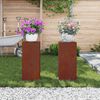 vidaXL &Beta;ά&sigma;&eta; &phi;&upsilon;&tau;ώ&nu; 2 pcs &Sigma;&kappa; rusty 24 x 24 x 55 &epsilon;&kappa;.