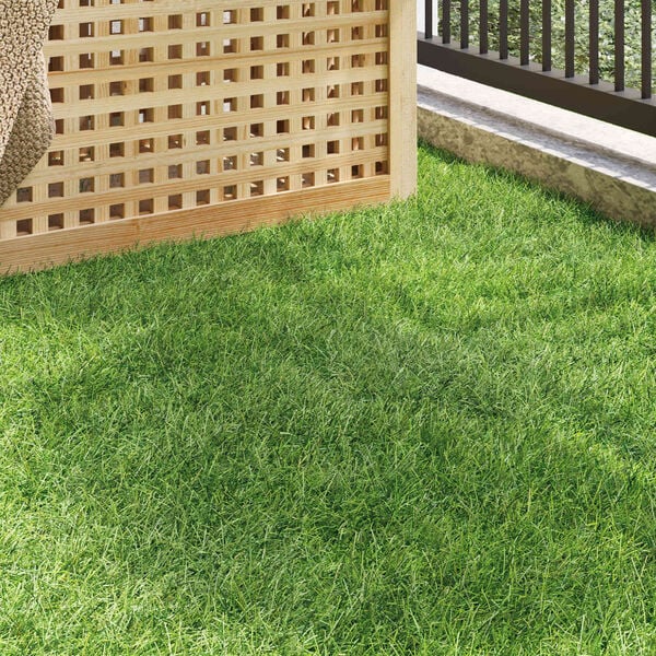 &Pi;&rho;&omicron;&beta;&omicron;&lambda;ή &Phi;&omega;&tau;&omicron;&gamma;&rho;&alpha;&phi;ί&alpha;&sigmaf; &Pi;&rho;&omicron;ϊό&nu;&tau;&omicron;&sigmaf; 3 &alpha;&pi;ό 10