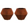 vidaXL &Gamma;&lambda;ά&sigma;&tau;&rho;&alpha; 2 pcs &Sigma;&kappa; rusty 50 x 50 x 40 cm