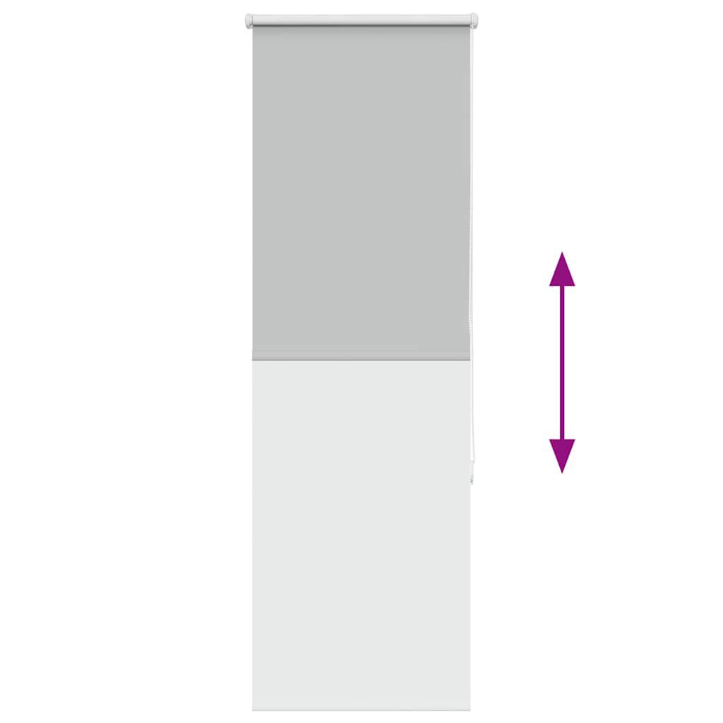 vidaXL Ρολέρ Μπλακάουτ ανοιχτό γκρι 60x150 cm Πλάτος υφάσματος 55,7cm