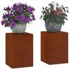 vidaXL &Beta;ά&sigma;&eta; &phi;&upsilon;&tau;ώ&nu; 2 pcs &Sigma;&kappa; rusty 24 x 24 x 35 &epsilon;&kappa;.