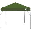 vidaXL Σκηνή Canopy Pop-up Πράσινο 250 x 250 cm ύφασμα