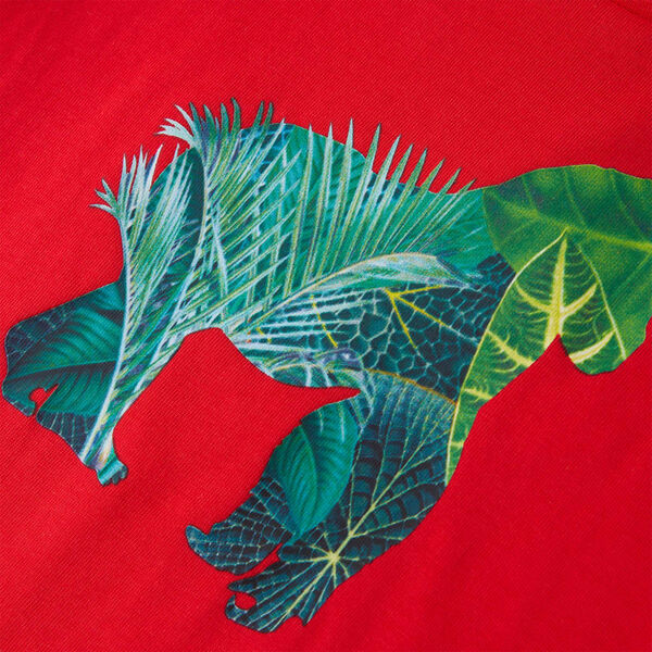 Μπλουζάκι Παιδικό Κόκκινο 128