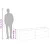 vidaXL Ζαρντινιέρα Υπερυψωμένη Γκρι 200 x 50 x 54 εκ. από WPC