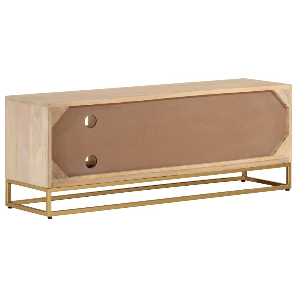 vidaXL Έπιπλο Τηλεόρασης 110 x 30 x 40 εκ. Μασίφ Ξύλο Μάνγκο & Σίδηρος