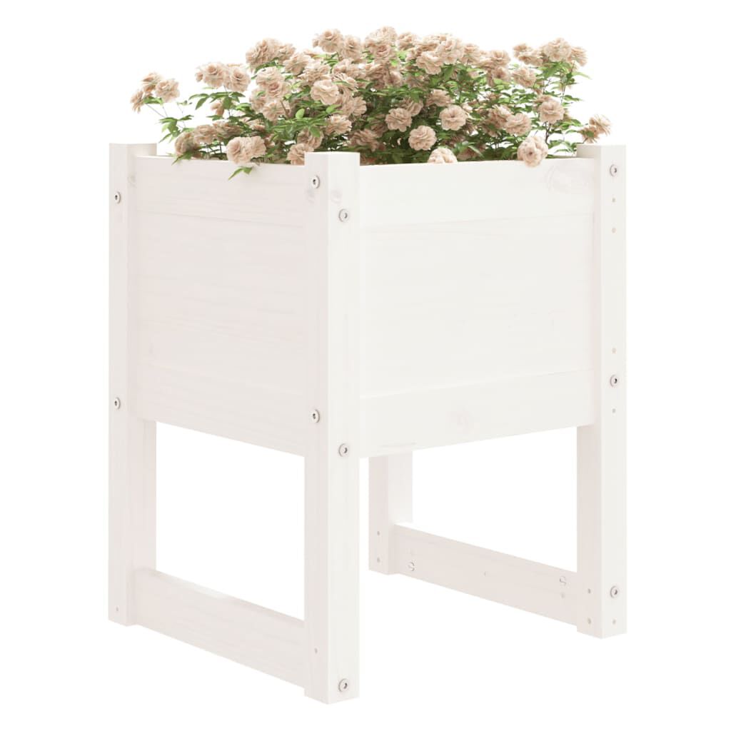 vidaXL Ζαρντινιέρες 2 τεμ. Λευκές 40x40x52,5 εκ. από Μασίφ Ξύλο Πεύκου