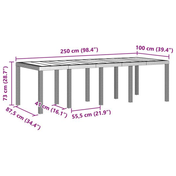 vidaXL Τραπέζι Κήπου Λευκό 250x100x73 εκ. Πολυ Ράττον