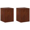 vidaXL &Beta;ά&sigma;&eta; &phi;&upsilon;&tau;ώ&nu; 2 pcs &Sigma;&kappa; rusty 30 x 30 x 40 cm