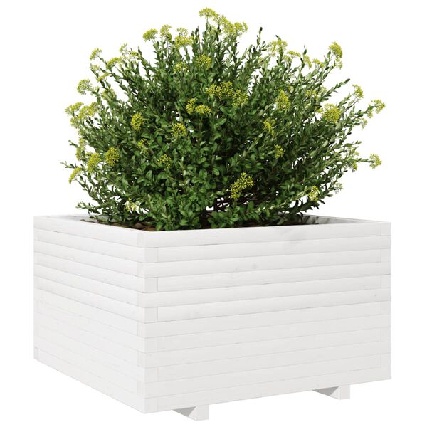 vidaXL Ζαρντινιέρα Κήπου Λευκή 80x80x49,5 εκ. από Μασίφ Ξύλο Πεύκου
