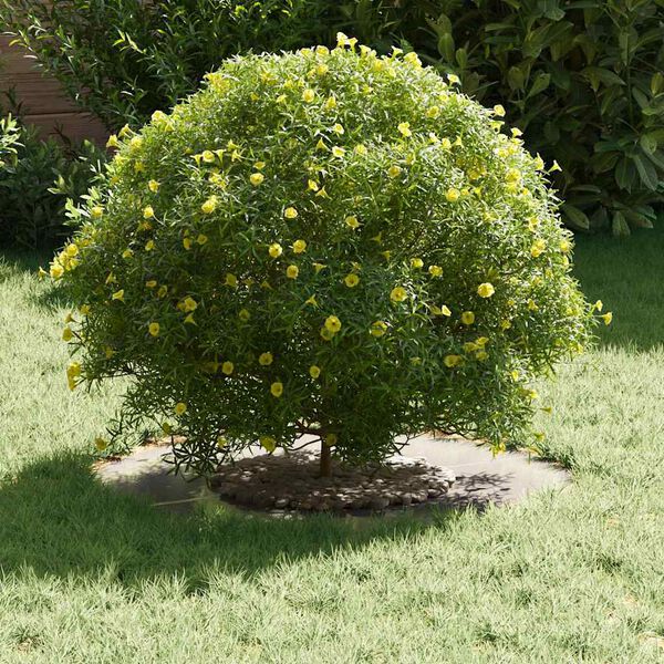 vidaXL κατάλληλο για επίπεδα δαχτυλίδια δέντρου 5 pcs Ασημί Ø30 / 60 εκ.