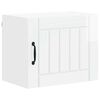 High_gloss_white