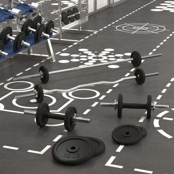 vidaXL Μπάρα και Αλτήρας με Δίσκους 60 κιλών από Χυτοσίδηρο