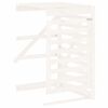 White_pine