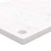 vidaXL Επιφάνεια Γραφείου Λευκή 100x60x2,5 εκ. από Μασίφ Ξύλο Πεύκου
