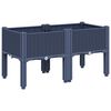 Blue_grey