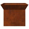 vidaXL &Phi;&omega;&tau;&iota;ά &Sigma;&kappa; rusty 50 x 50 x 40 cm &Alpha;&tau;&sigma;ά&lambda;&iota; &sigma;&kappa;&lambda;&eta;&rho;&upsilon;&theta;έ&nu; &sigma;&tau;&omicron;&nu; &alpha;έ&rho;&alpha;