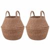 vidaXL &Gamma;&lambda;ά&sigma;&tau;&rho;&alpha; &mu;&epsilon; &Chi;&epsilon;&rho;&omicron;ύ&lambda;&iota;&alpha; 2 pcs &Phi;&upsilon;&sigma;&iota;&kappa;ό &Oslash; 22 x 20 cm 100% &Theta;&alpha;&lambda;&alpha;&sigma;&sigma;ό&chi;&omicron;&rho;&tau;&omicron;