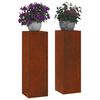 vidaXL &Beta;ά&sigma;&eta; &phi;&upsilon;&tau;ώ&nu; 2 pcs &Sigma;&kappa; rusty 24 x 24 x 75 &epsilon;&kappa;.