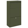 Olive_green