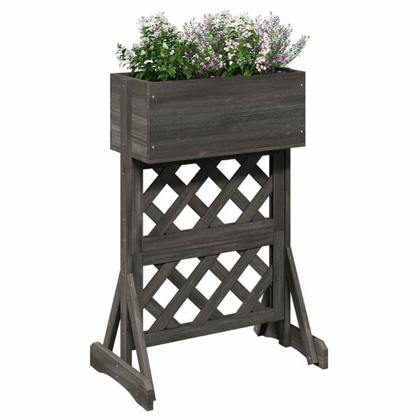 &Pi;&rho;&omicron;&beta;&omicron;&lambda;ή &Phi;&omega;&tau;&omicron;&gamma;&rho;&alpha;&phi;ί&alpha;&sigmaf; &Pi;&rho;&omicron;ϊό&nu;&tau;&omicron;&sigmaf; 3 &alpha;&pi;ό 10