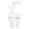 Warm_white