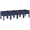 Blue_grey