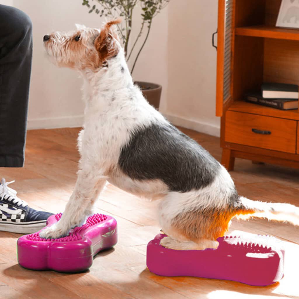 FitPAWS Πλατφόρμα Ισορροπίας Κατ. Mini K9FITbone 2 τεμ 29x16,5x6εκ
