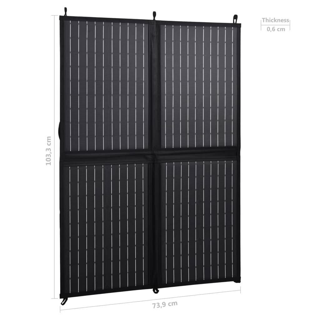 vidaXL Ηλιακός Φορτιστής με Πάνελ Πτυσσόμενος 100 W 12 V