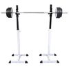 vidaXL Ορθοστάτης Μπάρας/Squat Rack με Σετ Μπάρα και Αλτήρες 30,5 κ.