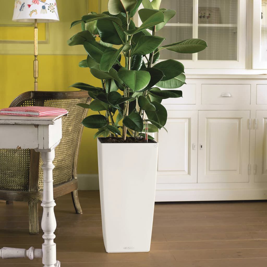 LECHUZA Γλάστρα Cubico Color 40 ALL-IN-ONE Λευκή 13150